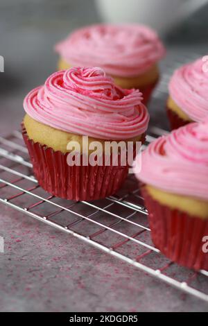 Nahaufnahme von Vanille-Muffins, die mit rosa Buttercreme-Zuckerguss auf der Oberseite verziert sind Stockfoto