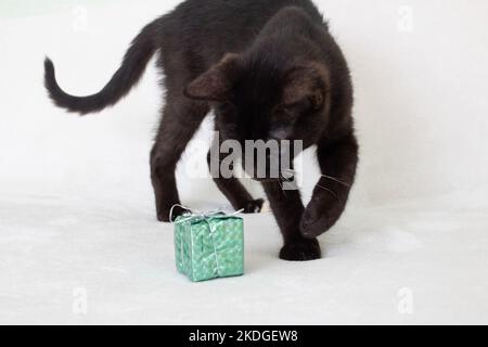 Schwarze Katze spielt mit Weihnachtsdekoration aus nächster Nähe Stockfoto