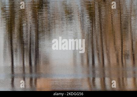 Abstrakte Linien, Formen und Farben des Herbstes spiegeln sich im Wasser wider Stockfoto
