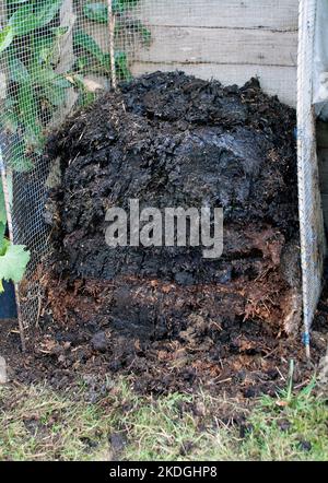 Gut verrottete Gartenkomposthaufen im Herbst Stockfoto
