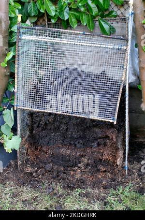 Gut verrottete Gartenkomposthaufen im Herbst Stockfoto
