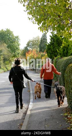 Ein paar Hundespaziergänger genießen die Herbstsonne im Dorf Garsington Oxford Stockfoto