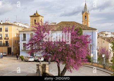 Cuenca, Provinz Cuenca, Kastilien-La Mancha, Spanien. Straßenszene im Frühling. Stockfoto