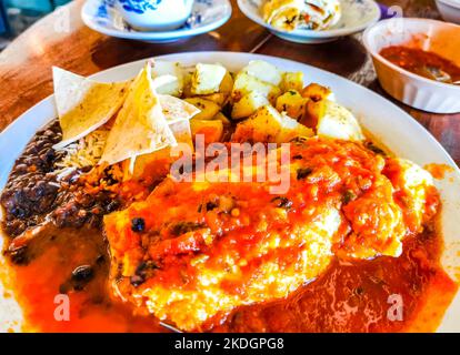 Mexikanisches Omelett mit schwarzen Bohnen Kartoffeln und Nachos auf weißem Teller in El Cafecito in Zicatela Puerto Escondido Oaxaca Mexiko. Stockfoto