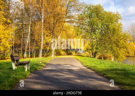 Bank im park Stockfoto