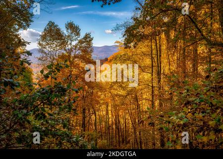 Amacalola fällt im Herbst Stockfoto