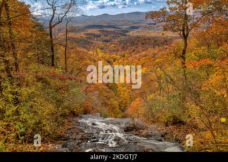 Amacalola fällt im Herbst Stockfoto