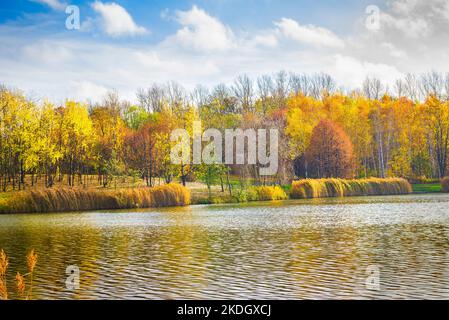 Teich im Herbst Park Stockfoto