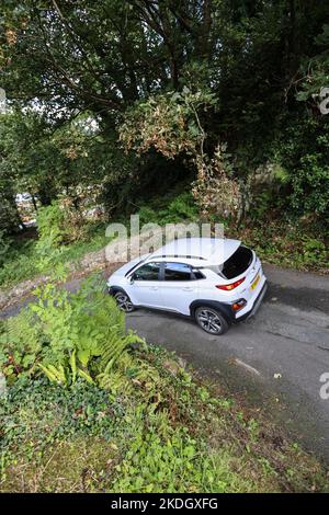 Die steilste Straße der Welt, in,Zentrum,von,Harlech,Gwynedd,County,Gwynedd County,Wales,Walisisch,anerkannt,von,Guinness Buch der Rekorde, Stockfoto