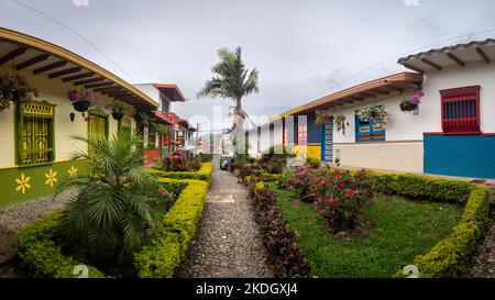 Jerico, Antioquia, Kolumbien - April 5 2022: Wunderschöne Gärten mit Büschen und Blumen in der Colonial Street mit bunten Häusern und Palmen in der Ba Stockfoto