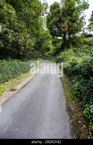 Die steilste Straße der Welt, in,Zentrum,von,Harlech,Gwynedd,County,Gwynedd County,Wales,Walisisch,anerkannt,von,Guinness Buch der Rekorde, Stockfoto