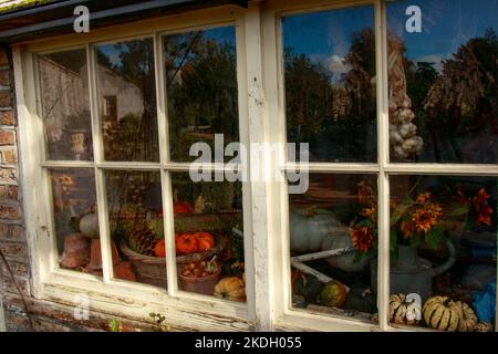 Alte Holzfenster mit Girlick, Kürbisse, Stillleben im Herbst, Gartengeräte und Blick auf den herbstlichen Hinterhof spiegeln sich im Glas-Vintage wider Stockfoto