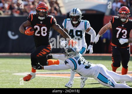 Cincinnati, Usa. 06.. November 2022. Cincinnati Bengals Halbback Joe Mixon (28) bricht Carolina Panthers Myles Hartsfiied (38) während der ersten Spielhälfte im Paycor Stadium am Sonntag, 6. November 2022 in Cincinnati frei. Ohio Foto von John Sommers II/UPI Kredit: UPI/Alamy Live News Stockfoto