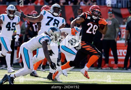 Cincinnati, Usa. 06.. November 2022. Cincinnati Bengals Halbback Joe Mixon (28) bricht in der ersten Spielhälfte im Paycor Stadium am Sonntag, den 6. November 2022 in Cincinnati von der Verteidigung von Carolina Panthers ab. Ohio Foto von John Sommers II/UPI Kredit: UPI/Alamy Live News Stockfoto