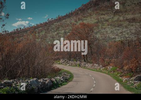 Die Vegetation wird langsam besser nach dem schrecklichen Waldbrand in carso oder Karstregion in Slowenien. Sonniger Tag auf kras. Stockfoto