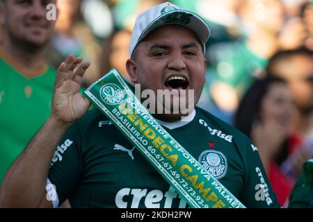 Cuiaba, Brasilien. 06.. November 2022. MT - Cuiaba - 11/06/2022 - BRASILIANISCHE A 2022, CUIABA X PALMEIRAS - Palmeiras Fans während eines Spiels gegen Cuiaba im Arena Pantanal Stadion für die brasilianische Meisterschaft A 2022. Foto: Gil Gomes/AGIF/Sipa USA Quelle: SIPA USA/Alamy Live News Stockfoto