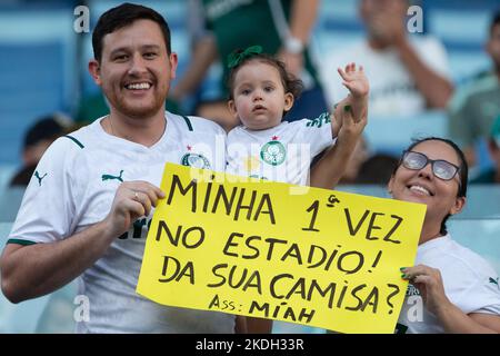 Cuiaba, Brasilien. 06.. November 2022. MT - Cuiaba - 11/06/2022 - BRASILIANISCHE A 2022, CUIABA X PALMEIRAS - Palmeiras Fans während eines Spiels gegen Cuiaba im Arena Pantanal Stadion für die brasilianische Meisterschaft A 2022. Foto: Gil Gomes/AGIF/Sipa USA Quelle: SIPA USA/Alamy Live News Stockfoto