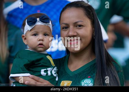 Cuiaba, Brasilien. 06.. November 2022. MT - Cuiaba - 11/06/2022 - BRASILIANISCHE A 2022, CUIABA X PALMEIRAS - Palmeiras Fans während eines Spiels gegen Cuiaba im Arena Pantanal Stadion für die brasilianische Meisterschaft A 2022. Foto: Gil Gomes/AGIF/Sipa USA Quelle: SIPA USA/Alamy Live News Stockfoto