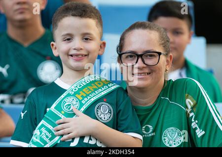 Cuiaba, Brasilien. 06.. November 2022. MT - Cuiaba - 11/06/2022 - BRASILIANISCHE A 2022, CUIABA X PALMEIRAS - Palmeiras Fans während eines Spiels gegen Cuiaba im Arena Pantanal Stadion für die brasilianische Meisterschaft A 2022. Foto: Gil Gomes/AGIF/Sipa USA Quelle: SIPA USA/Alamy Live News Stockfoto