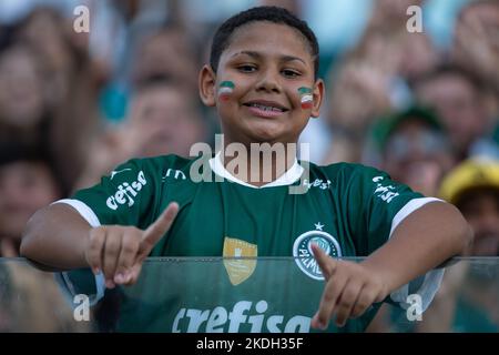 Cuiaba, Brasilien. 06.. November 2022. MT - Cuiaba - 11/06/2022 - BRASILIANISCHE A 2022, CUIABA X PALMEIRAS - Palmeiras Fans während eines Spiels gegen Cuiaba im Arena Pantanal Stadion für die brasilianische Meisterschaft A 2022. Foto: Gil Gomes/AGIF/Sipa USA Quelle: SIPA USA/Alamy Live News Stockfoto