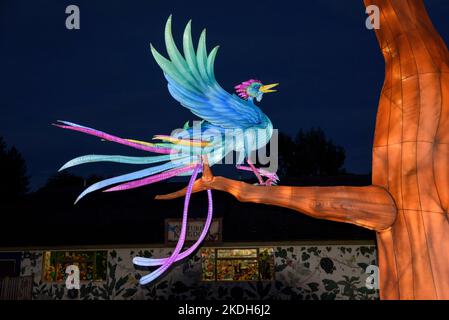 Longleat Festival of Light 2022 - die wundersamen Welten von Roald Dahl, Longleat, Wiltshire, Großbritannien. Riesige beleuchtete chinesische Laternen mit Figuren aus Roald Dahls Kinderbüchern, die beim jährlichen Festival of Light von Longleat in Wiltshire ausgestellt werden. Das Festival findet zu ausgewählten Terminen vom 5.. November 2022 bis zum 8.. Januar 2023 statt. Kredit: Alison Eckett / Alamy Stockfoto