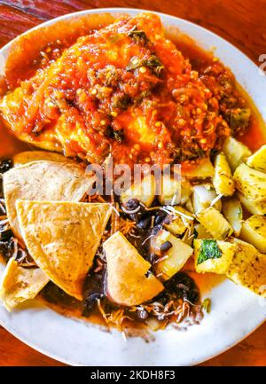 Mexikanisches Omelett mit schwarzen Bohnen Kartoffeln und Nachos auf weißem Teller in El Cafecito in Zicatela Puerto Escondido Oaxaca Mexiko. Stockfoto