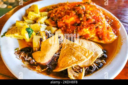 Mexikanisches Omelett mit schwarzen Bohnen Kartoffeln und Nachos auf weißem Teller in El Cafecito in Zicatela Puerto Escondido Oaxaca Mexiko. Stockfoto