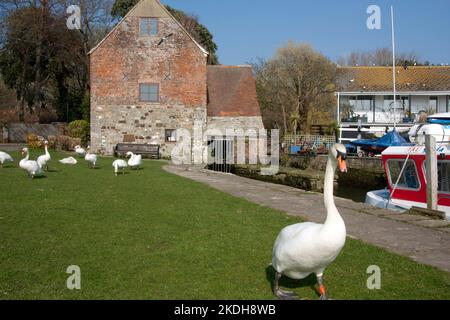 Place Mill, River Avon, Christchurch, Dorset, England Stockfoto