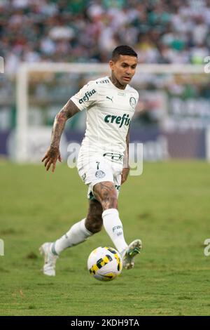 Cuiaba, Brasilien. 06.. November 2022. MT - Cuiaba - 11/06/2022 - BRASILIANISCHER A 2022, CUIABA X PALMEIRAS - Dudu Palmeiras Spieler während eines Spiels gegen Cuiaba im Arena Pantanal Stadion für die brasilianische Meisterschaft A 2022. Foto: Gil Gomes/AGIF/Sipa USA Quelle: SIPA USA/Alamy Live News Stockfoto