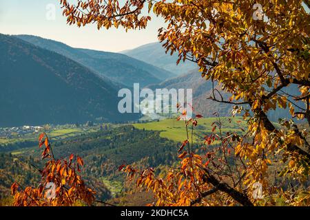 Sonniges Bergtal. Herbstlandschaft. Konzentrieren Sie sich auf Bäume Stockfoto