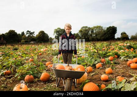 Junge, der eine Schubkarre mit Kürbissen auf einem Feld schiebt Stockfoto