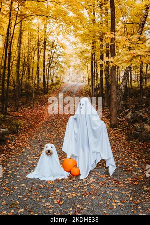 Kinder und Hunde in Geisterkostümen für Hallowe'en draußen. Stockfoto