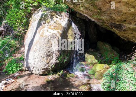 Blick auf einen kleinen schönen Wasserfall in einem grünen Wald. Griechenland. Stockfoto