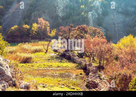 Historische Kuda-Brücke auf dem Fluss Krupa in Kroatien. Stockfoto