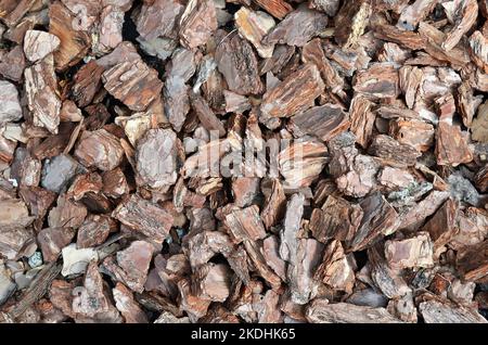 Kiefernrinde Mulch Hintergrundstruktur, Vollformat. Wird als Bodenbedeckung im Garten verwendet. Stockfoto
