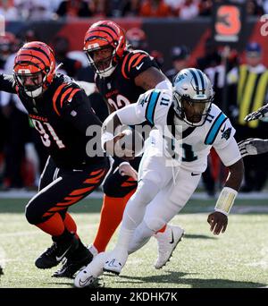 Cincinnati, Usa. 06.. November 2022. Carolina Panthers Quarterback PJ Walker (11) kriegt sich in der zweiten Spielhälfte im Paycor Stadium am Sonntag, den 6. November 2022 in Cincinnati aus der Verteidigung von Cincinnati Bengals zu befreien. Ohio Foto von John Sommers II/UPI Kredit: UPI/Alamy Live News Stockfoto