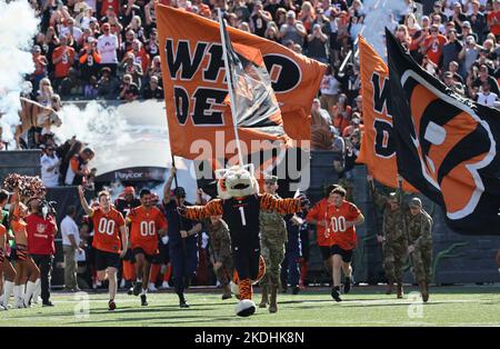 Cincinnati, Usa. 06.. November 2022. Die Fußballmannschaft von Cincinnati Bengals geht vor ihrem Spiel gegen die Carolina Panthers im Paycor Stadium am Sonntag, den 6. November 2022 in Cincinnati auf das Spielfeld. Ohio Foto von John Sommers II/UPI Kredit: UPI/Alamy Live News Stockfoto