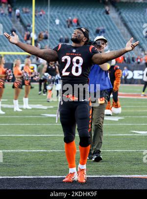 Cincinnati, Usa. 06.. November 2022. Cincinnati Bengals Halbback Joe Mixon (28) feiert, nachdem sein Team am Sonntag, den 6. November 2022 in Cincinnati die Carolina Panthers im Paycor Stadium besiegt hat. Ohio Foto von John Sommers II/UPI Kredit: UPI/Alamy Live News Stockfoto