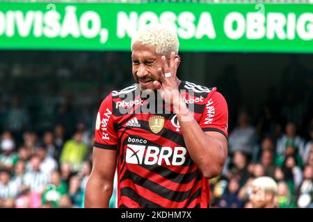 Curitiba, Brasilien. 06.. November 2022. PR - Curitiba - 11/06/2022 - BRASILIANISCHER A 2022, CORITIBA X FLAMENGO - Pablo Flamengo Spieler bei einem Spiel gegen Coritiba im Couto Pereira Stadion für die brasilianische Meisterschaft A 2022. Foto: Gabriel Machado/AGIF/Sipa USA Quelle: SIPA USA/Alamy Live News Stockfoto