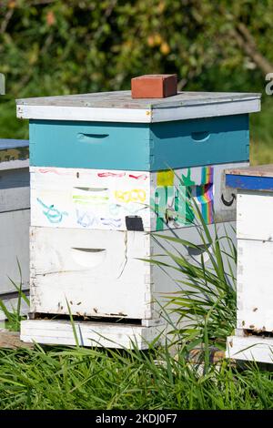 Chimacum, Washington, USA. Langstroth Bienenstöcke in einer Reihe in einer ländlichen Umgebung, mit bunten Kinderkunstwerken auf ihnen. Stockfoto
