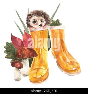 Ein süßer Igel aus Aquarell kletterte vor dem Hintergrund von Pilzen und Blättern in Gummistiefel. Abbildung auf weißem Hintergrund. Isolieren. Stockfoto