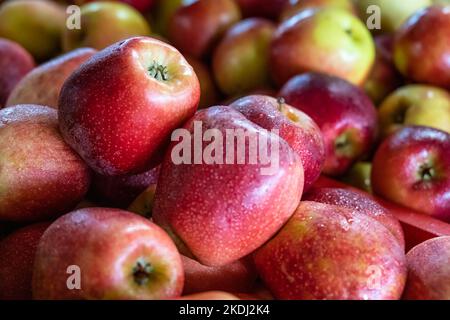 Apple-Display auf dem Jaemor Farm Market im Nordosten von Georgia. (USA) Stockfoto
