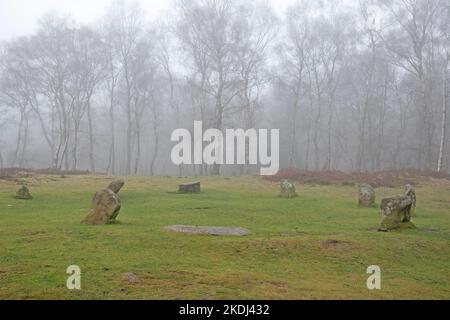 Neun Damen im Nebel Stockfoto