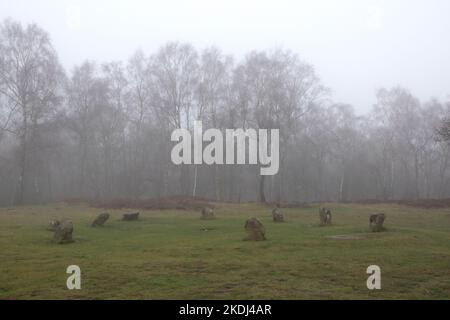 Neun Damen im Nebel Stockfoto