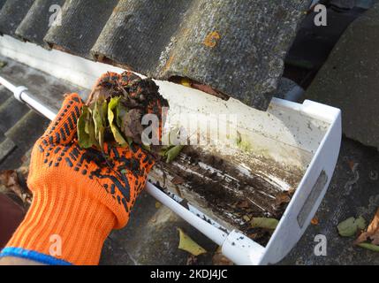 Reinigen einer Dachrinne mit den Händen, Entfernen von trockenen Blättern aus einer verstopften Regenrinne. Reinigung und Wartung der Dachrinnen. Stockfoto