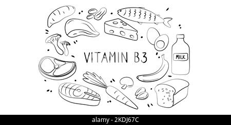 Vitamin B3 Niacinamid Vitamin PP Niacin Nicotinamid. Gruppen von gesunden Lebensmitteln, die Vitamine enthalten. Set aus Obst, Gemüse, Fleisch, Fisch und Dair Stock Vektor