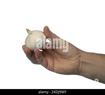 Eine männliche Hand mit einer Knoblauchzwiebel auf transparentem Hintergrund Stockfoto