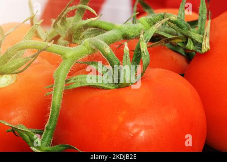 Nahaufnahme von frischen Tomaten Stockfoto