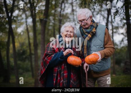 Seniorenpaar mit Kürbissen im Herbstwald. Stockfoto