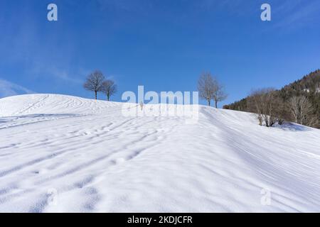 Ein Mann geht allein auf einem Pfad durch eine Landschaft voller Schnee im Winter Stockfoto